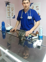 Ветеринарный врач-терапевт, ветеринарный хирург Александр Виталиевич Шайсламов