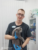 Сорокин Андрей Александрович