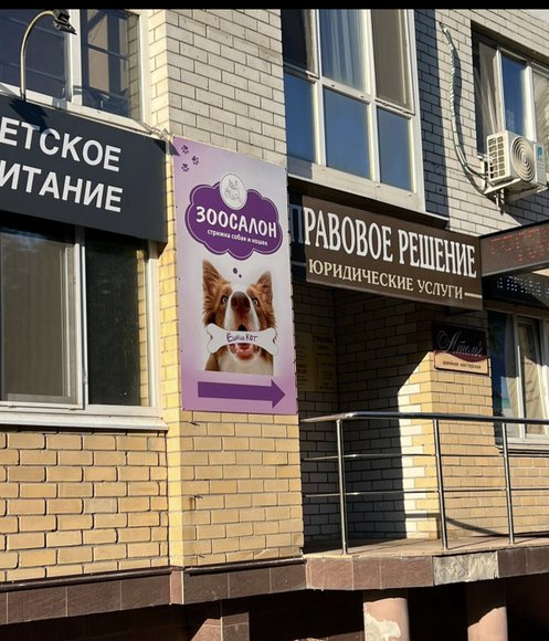 Ешкин кот красноармейская ул 38 брянск фото