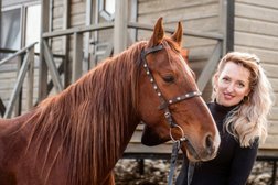 Конно-туристическая база Орданэ, с рейтингом 3.9 - находится по адресу Краснодарский край, с. Верхнее Буу, Октемберянская улица, 33/1 