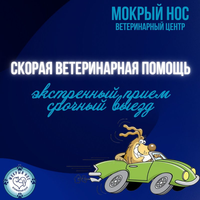 фотография Ветеринарного центра Мокрый нос на Халтуринской улице, д18