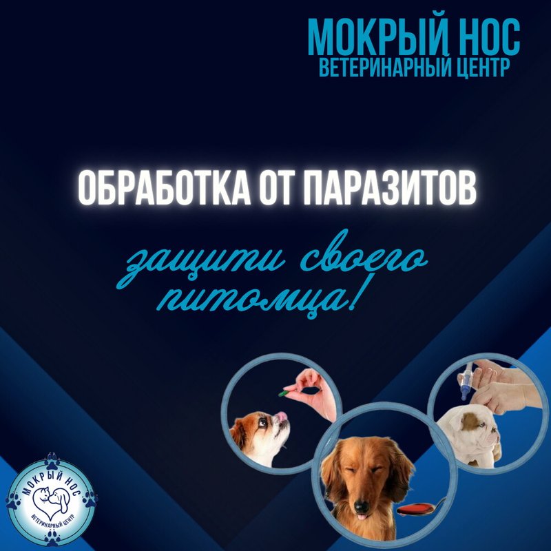 фотография Ветеринарного центра Мокрый нос на Краснобогатырской улице, д13 стр 3
