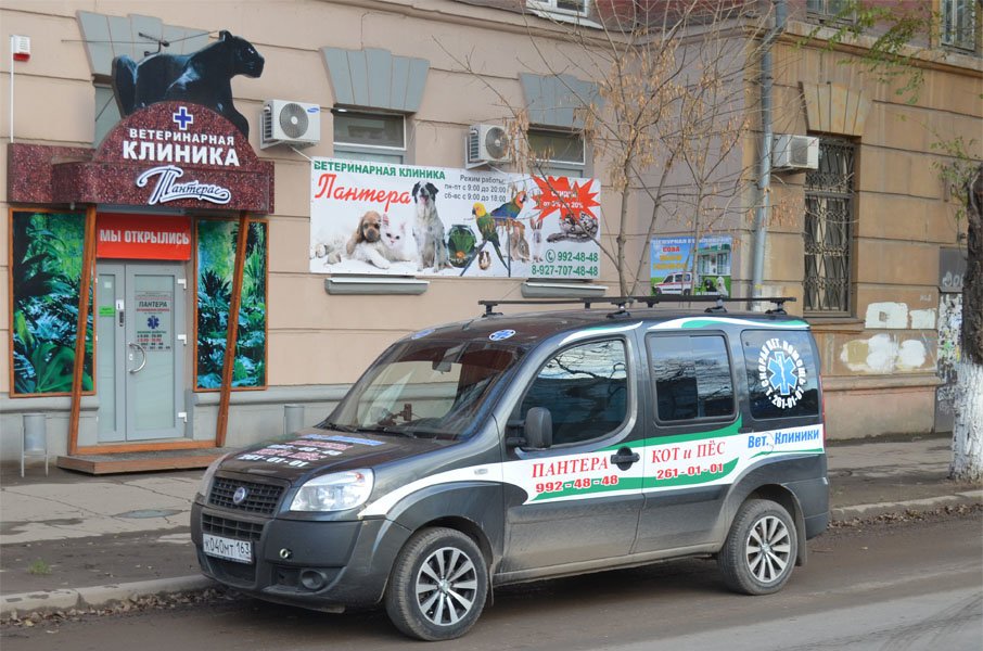 Ветеринарная самара. Ветклиника пантера Самара Кирова. Пантера ветеринарная клиника. На Кирова ветлечебницы.