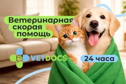 Ветеринарная служба Vetdocs, с рейтингом 4.9 - находится по адресу Московская область, Пушкино, улица Чехова, 12 