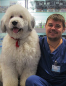 Костров Андрей Леонтьевич