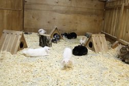 Зоопарк Страна ЕНОТиЯ, с рейтингом 4.1 - находится по адресу Красноярск, Дудинская улица, 3 