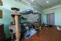 Ветеринарная клиника Дружок, с рейтингом 4.6 - находится по адресу Красноярск, Затонская улица, 70 ст2 