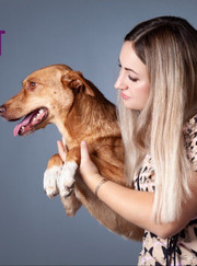 Ветеринарный врач УЗИ Алена Андреевна Крюкова