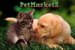 Интернет-магазин товаров для животных Petmarkets, с рейтингом 3.3 - находится по адресу Санкт-Петербург, проспект Стачек, 75 