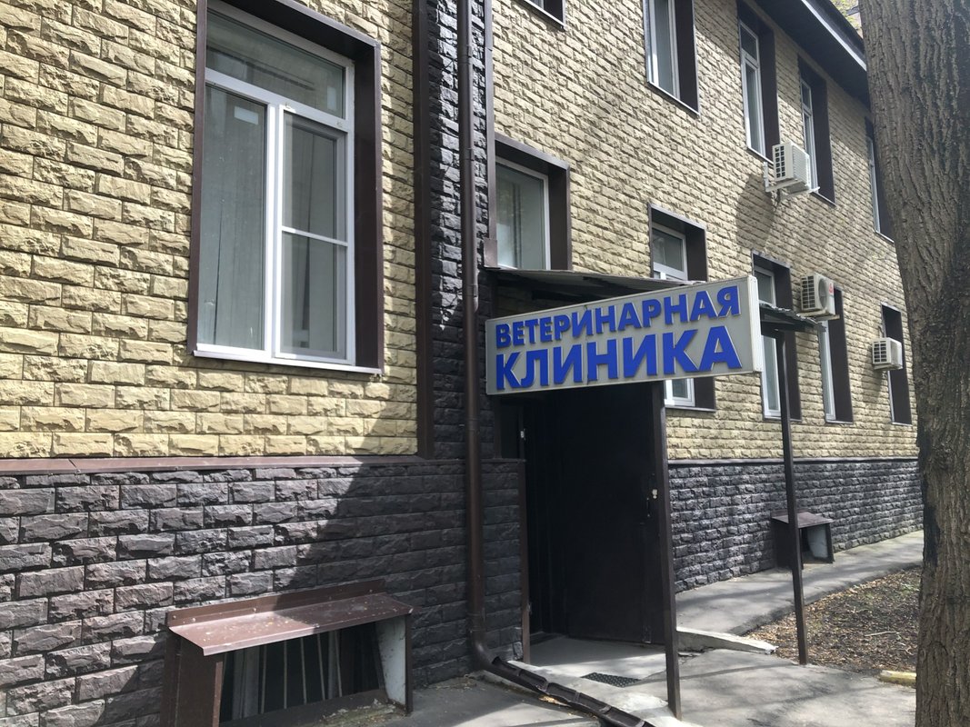 пегас ветклиника опалиха. ветеринарная клиника корги-вет москва. ветклиника дмитров. детский парк ветеринарная. ветеринарная клиника на коломенской.