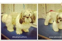 Груминг-салон Модный енот, с рейтингом 4.1 - находится по адресу Пермь, улица Мира, 3 