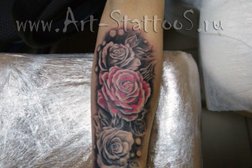 Студия StattooS, с рейтингом 4.6 - находится по адресу Брянск, улица Медведева, 5 