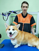 Моторин Денис