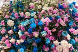 Клиника терапевтической косметологии Золотое сечение, с рейтингом 3.2 - находится по адресу Владимир, Зелёная улица, 1а 