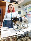 Доломан Кристина Анатольевна