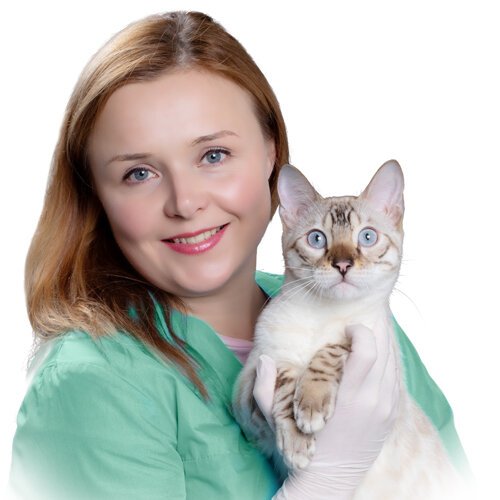 Анна Анатольевна Кошутина
