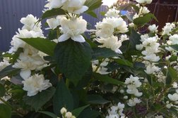 Питомник Наши сады, с рейтингом 3.4 - находится по адресу Республика Башкортостан, д. Кириллово, Озёрная улица, 5 