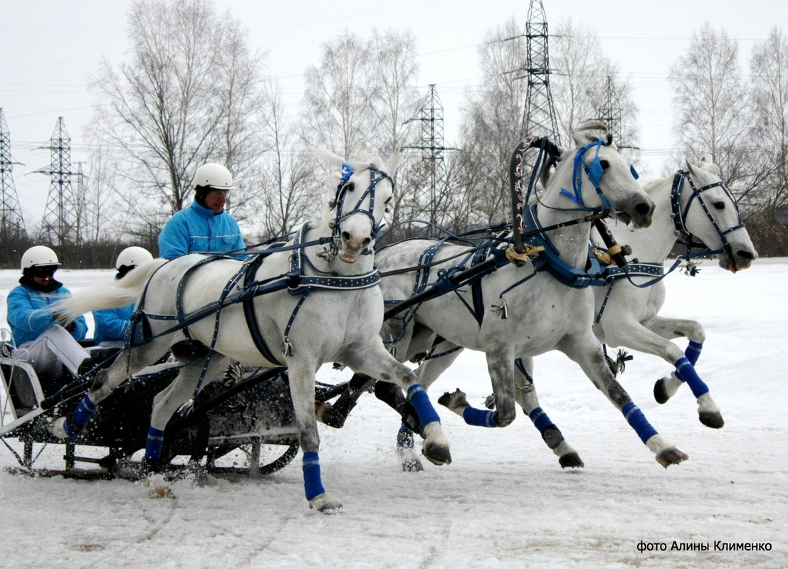 Орловский цур