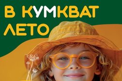 Развивающий детский клуб кУМкват, с рейтингом 4.7 - находится по адресу Москва, улица Васильцовский Стан, 5к2 