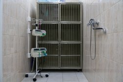 Ветеринарная клиника АСВЕТ, с рейтингом 5 - находится по адресу Московская область, Одинцовский городской округ, посёлок Горки-10, 23 