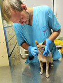 Головатский Борис Станниславович