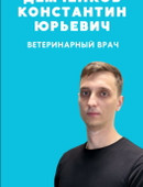 Демченко Константин Юрьевич