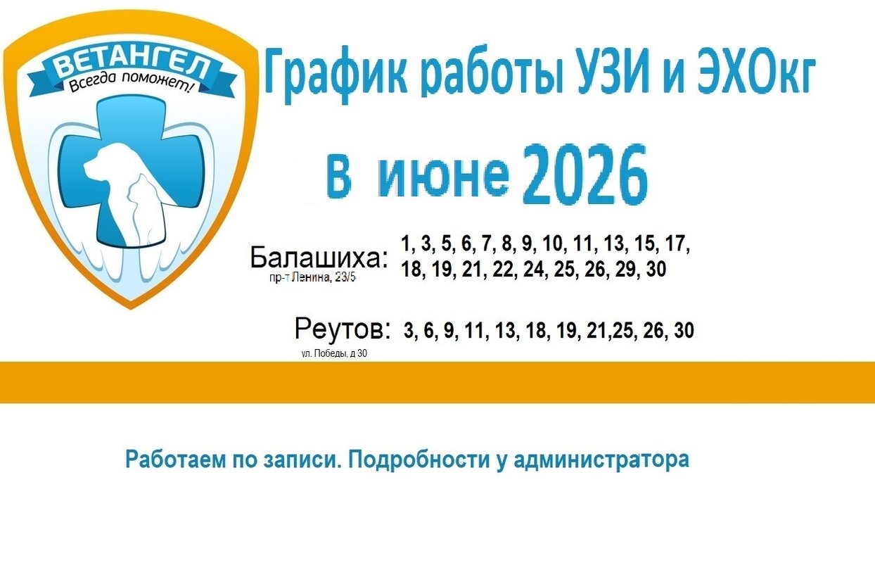 фотография Ветеринарного центра ВетАнгел на проспекте Ленина, 23/5 в Балашихе