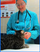 Бурцева Майорита Юрьевна