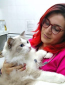 Парамонова Алла Анваровна