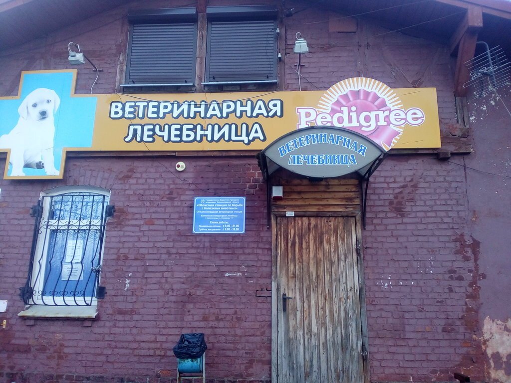 Ветеринарная клиника Айболит на улице Горького в Электростали - отзывы ...