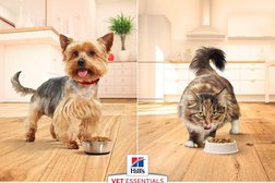 Ветеринарная клиника-аптека Велес, с рейтингом 2.9 - находится по адресу Пермь, улица Строителей, 10 