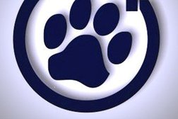 Ветеринарная клиника ПроВет, с рейтингом 3.9 - находится по адресу Красноярск, улица Водопьянова, 15 