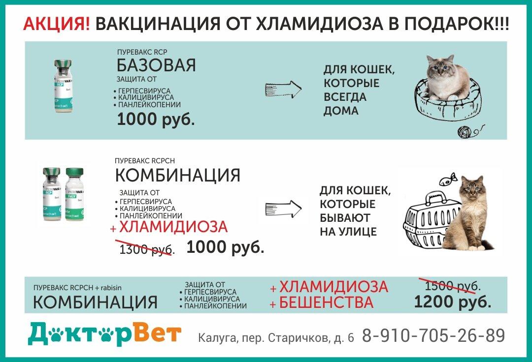 Авангард для собак схема вакцинации