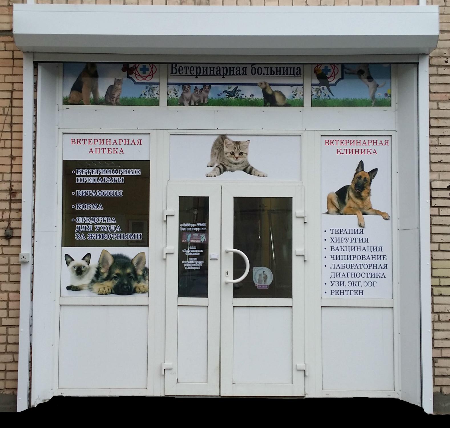 Веста ветеринарная клиника спб
