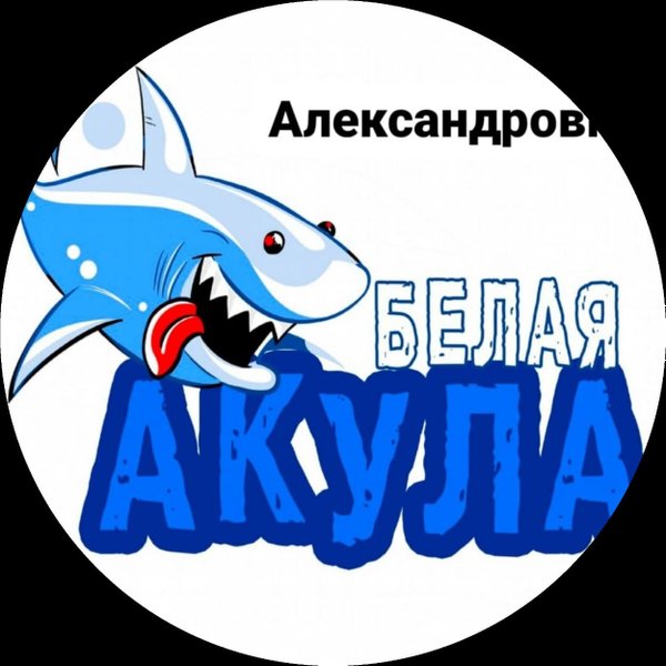 Магазин Белая Акула Ростов На Дону