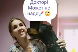 Ветеринарный кабинет Синяя птица, с рейтингом 3.2 - находится по адресу Новороссийск, улица Алексеева, 25Б 