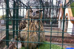 Зоопарк Мадагаскар, с рейтингом 3 - находится по адресу Нижний Новгород, улица Энгельса, 3 к3 