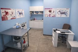 Ветеринарная клиника Кот Тишка, с рейтингом 3.7 - находится по адресу Тюменская область, с. Перевалово, 8 Марта, 2 