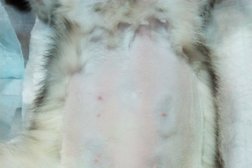 Ветеринарная клиника ВетСоюз, с рейтингом 4.4 - находится по адресу Новосибирск, улица Красина, 58 