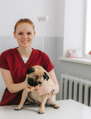 Штенникова Анна Владимировна