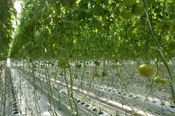 Компания Acke, с рейтингом 1.5 - находится по адресу Алматы, Дарабоз микрорайон, 5 