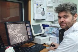 Лечебный диагностический центр ЛДЦ МИБС-Архангельск, с рейтингом 2.3 - находится по адресу Архангельск, проспект Обводный канал, 4 к1 