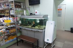 Ветеринарная клиника Артемида, с рейтингом 3.2 - находится по адресу Владимир, Чернышевского, 68/2 