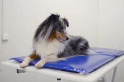 Ветеринарная клиника АльфаВет накл, с рейтингом 3.2 - находится по адресу Барнаул, улица Беляева, 15 