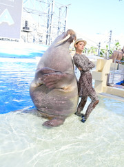 Кира Мукатдасовна Петрушина Артист цирка, ветеринар Кира Мукатдасовна Петрушина