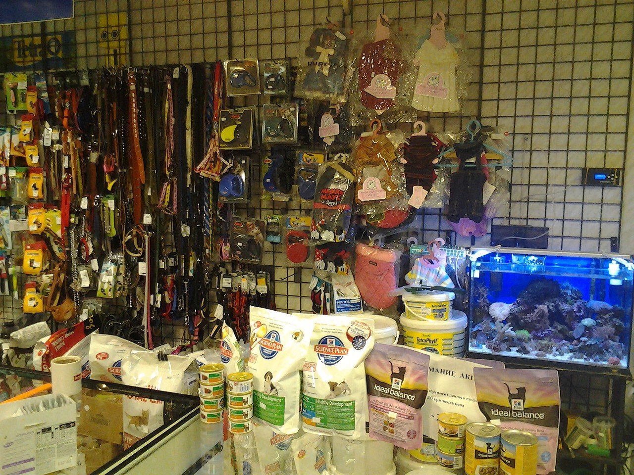 Зооцентр Сладкий Кот в Строгино - отзывы, фото, каталог товаров, цены ...